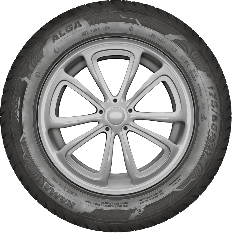 KAMA ALGA (НК-531) нешип в Сафонове — KAMA TYRES KAMA ALGA (НК-531) нешип в Сафонове